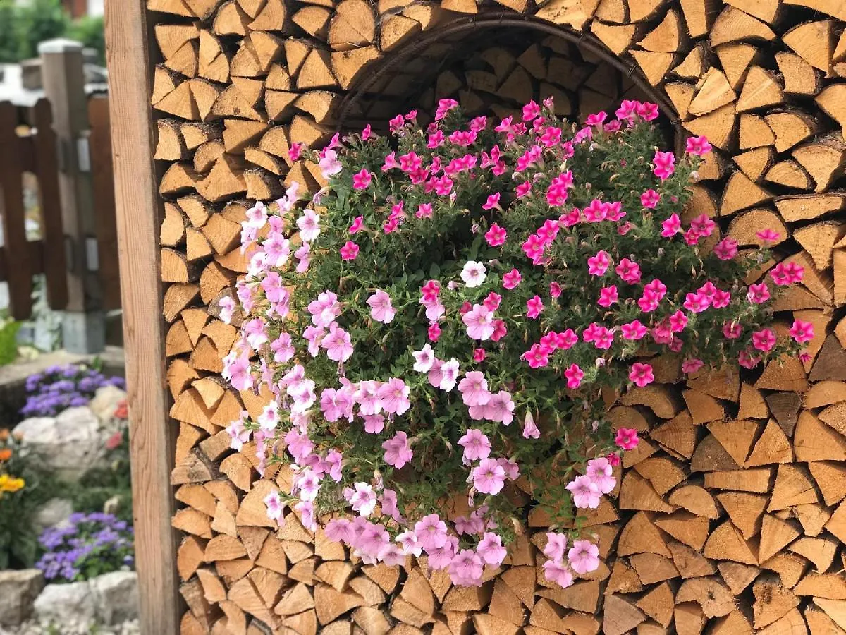 Appartamento Al Tabia Pizal Santo Stefano Di Cadore Lägenhet
